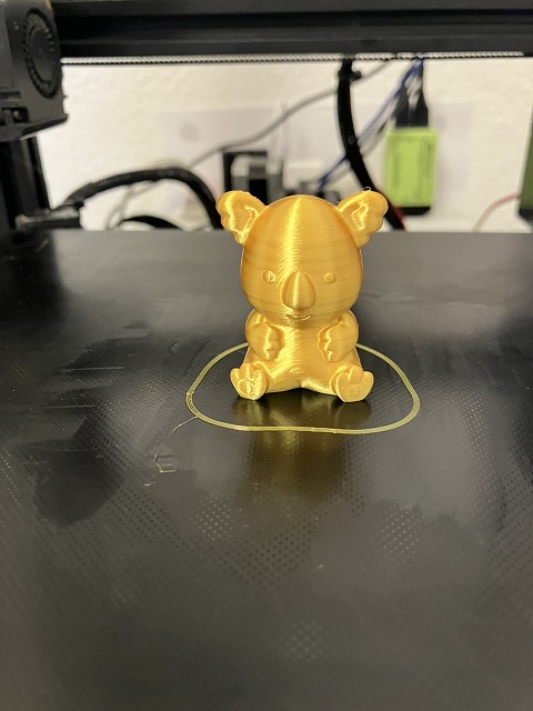 KoalaC